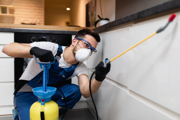 Best Commercial Pest Control Services  in Annandale, MN