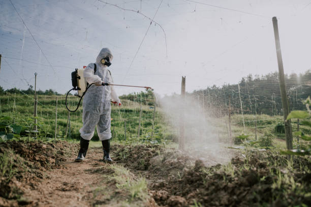 Best Mosquito Control Services  in Annandale, MN