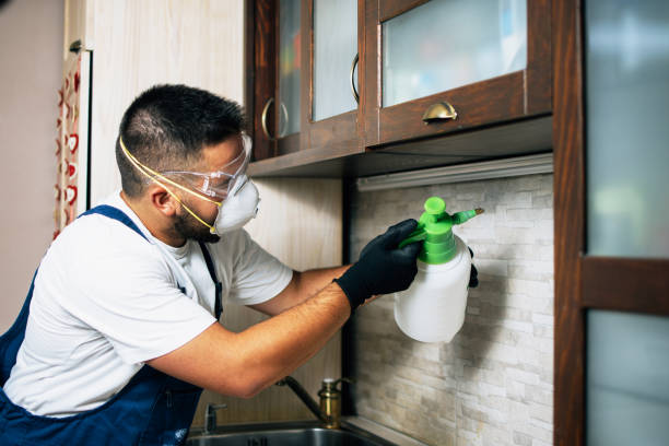 Best Affordable Pest Control Services  in Annandale, MN
