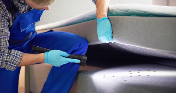 Best Emergency Pest Control  in Annandale, MN