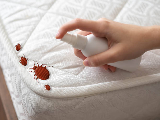 Best Pest Inspection Near Me  in Annandale, MN