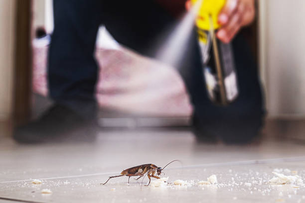 Best Bed Bug Extermination  in Annandale, MN