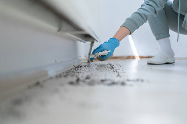 Best Pest Prevention Services  in Annandale, MN