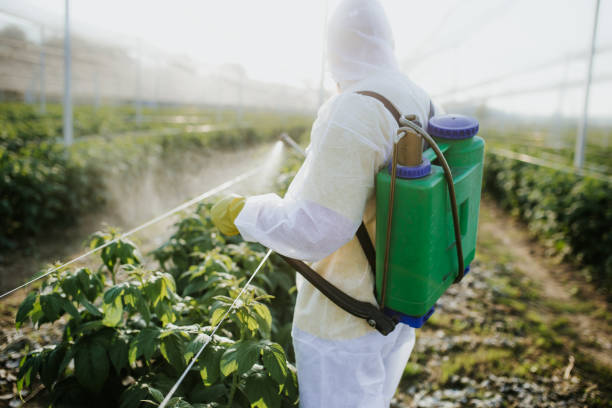 Best Pest Removal Services  in Annandale, MN